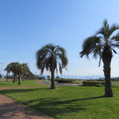 海の中道海浜公園の写真9