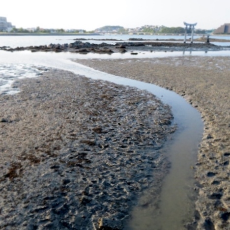 片男佐海岸の写真３