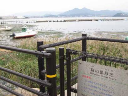 雁の巣緑地の様子