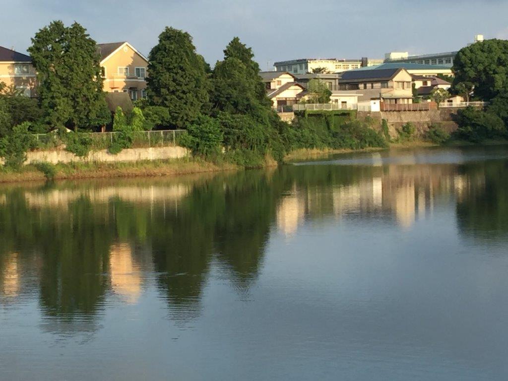 三留池の写真２