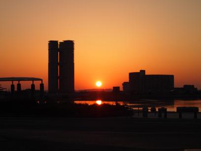 照葉に沈む夕日の写真