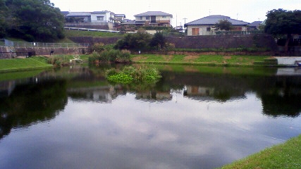 山ノ口新池の様子