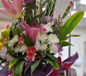 ユリなどの写真