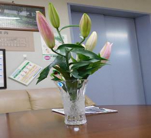 カサブランカ１