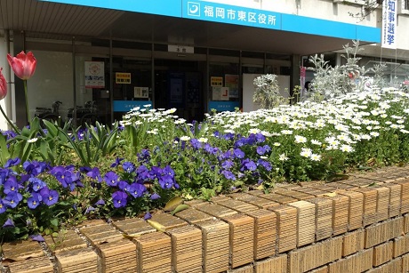 ビオラ、ノースポールなど