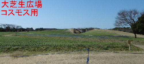 平成２９年２月１９日大芝生広場