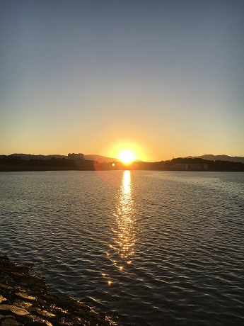 みなと100年公園