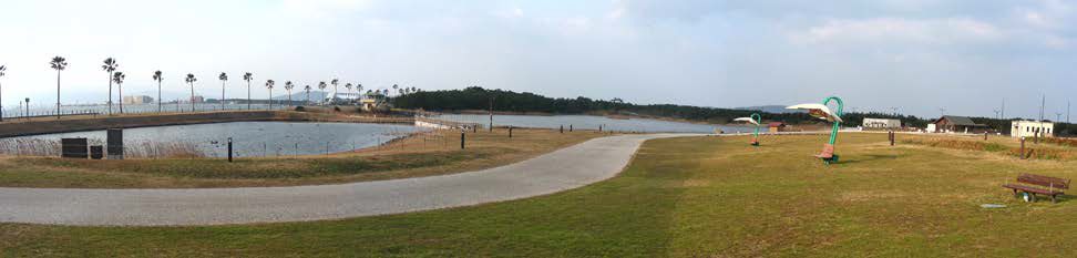 海の中道海浜公園・カモ池の様子
