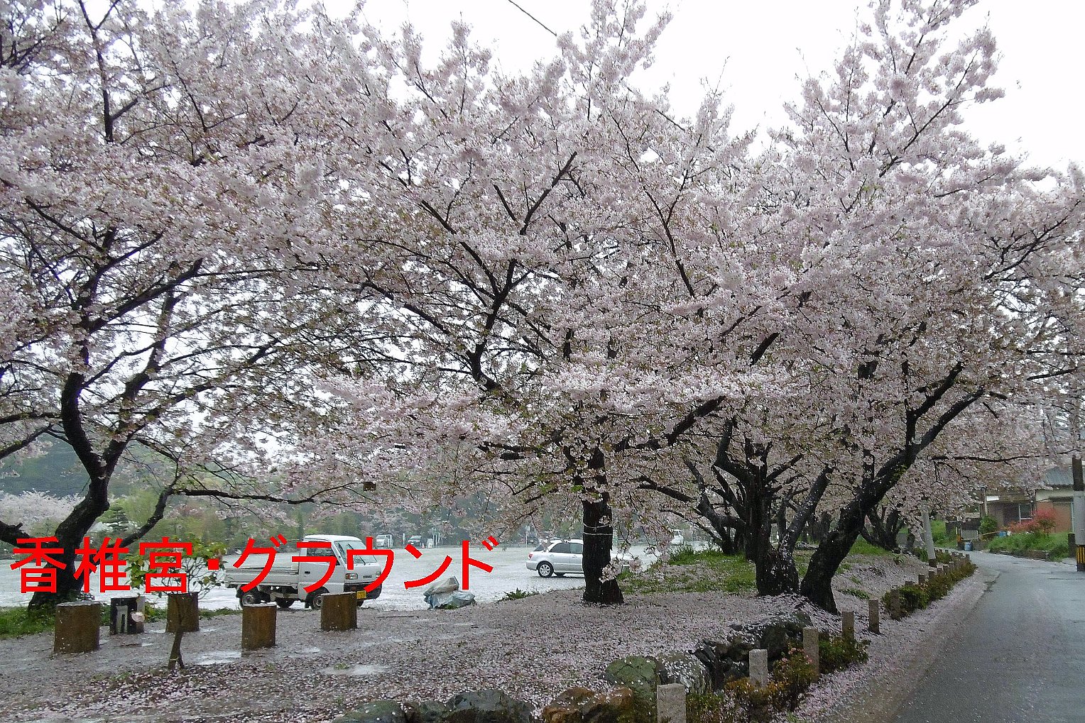 香椎宮・グラウンドの写真