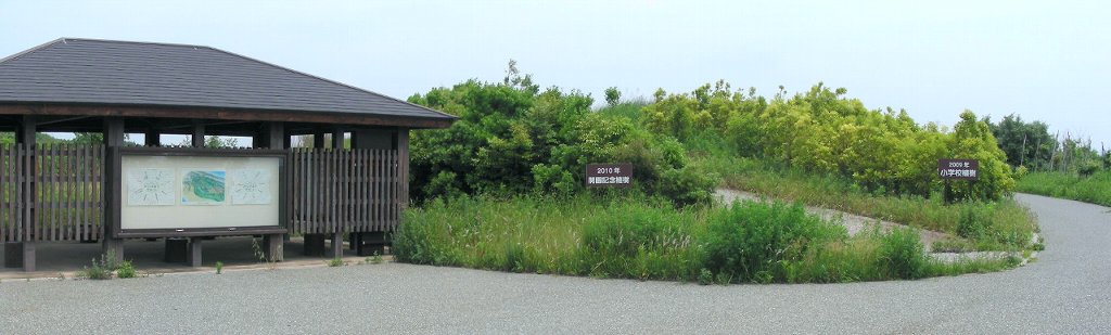 「環境共生の森」入口にあるマテバシイエリアの写真