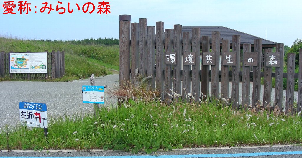 環境共生の森の写真