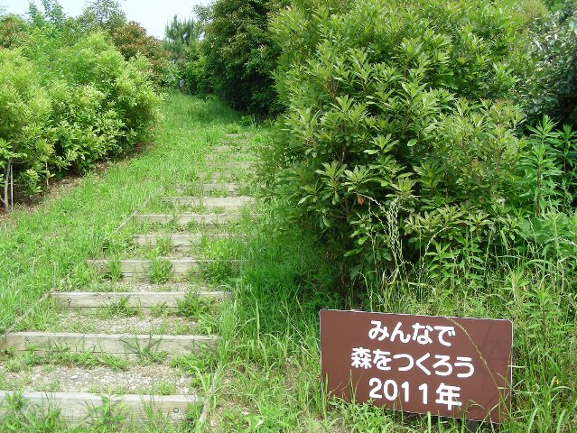 展望台に行く階段の写真