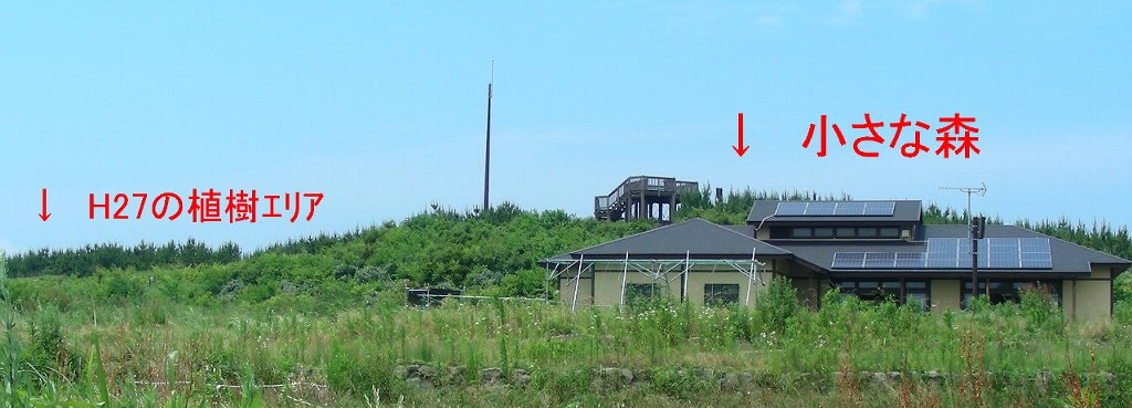 活動拠点の「里の家」とスダジイエリアの写真