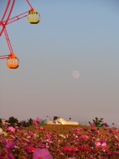海の中道海浜公園とスーパームーンの様子