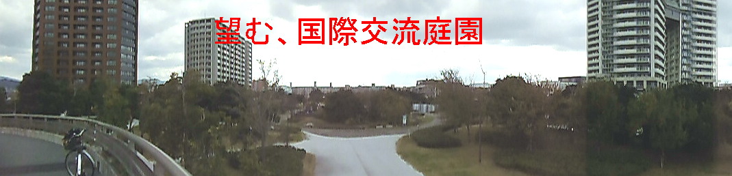 国際交流庭園の写真