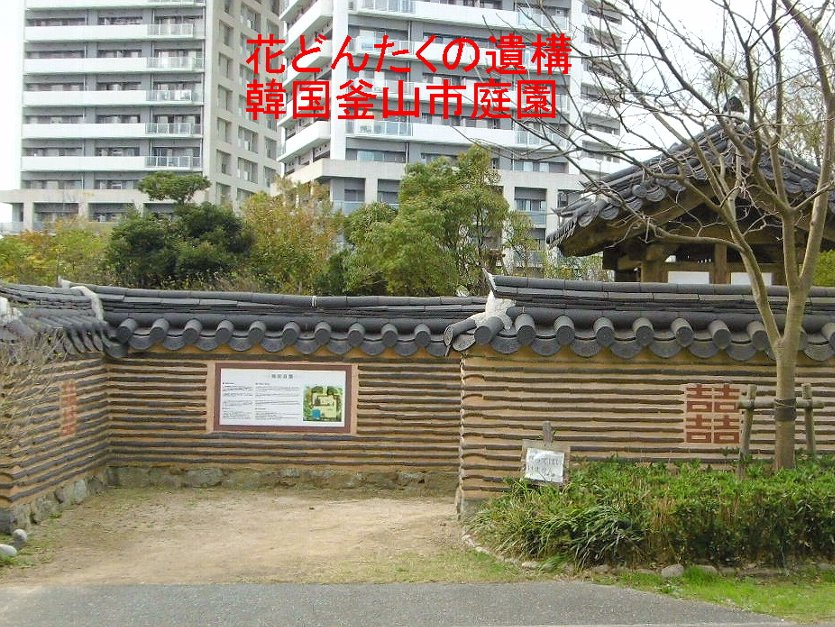 韓国釜山市庭園の写真１