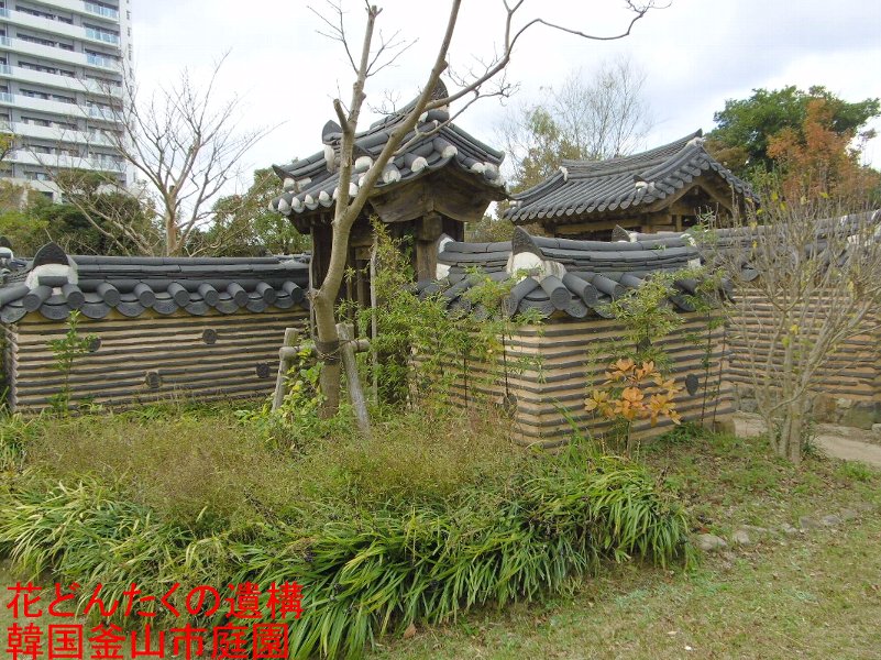韓国釜山市庭園の写真２