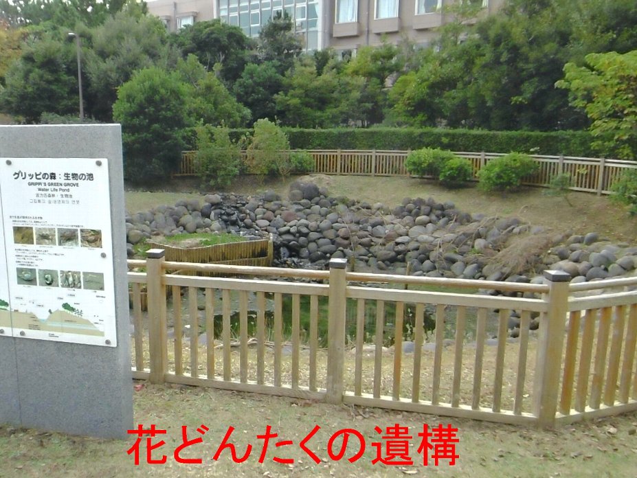 花どんたくの遺構の写真