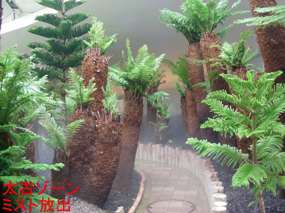 太古ゾーンミスト放出の写真