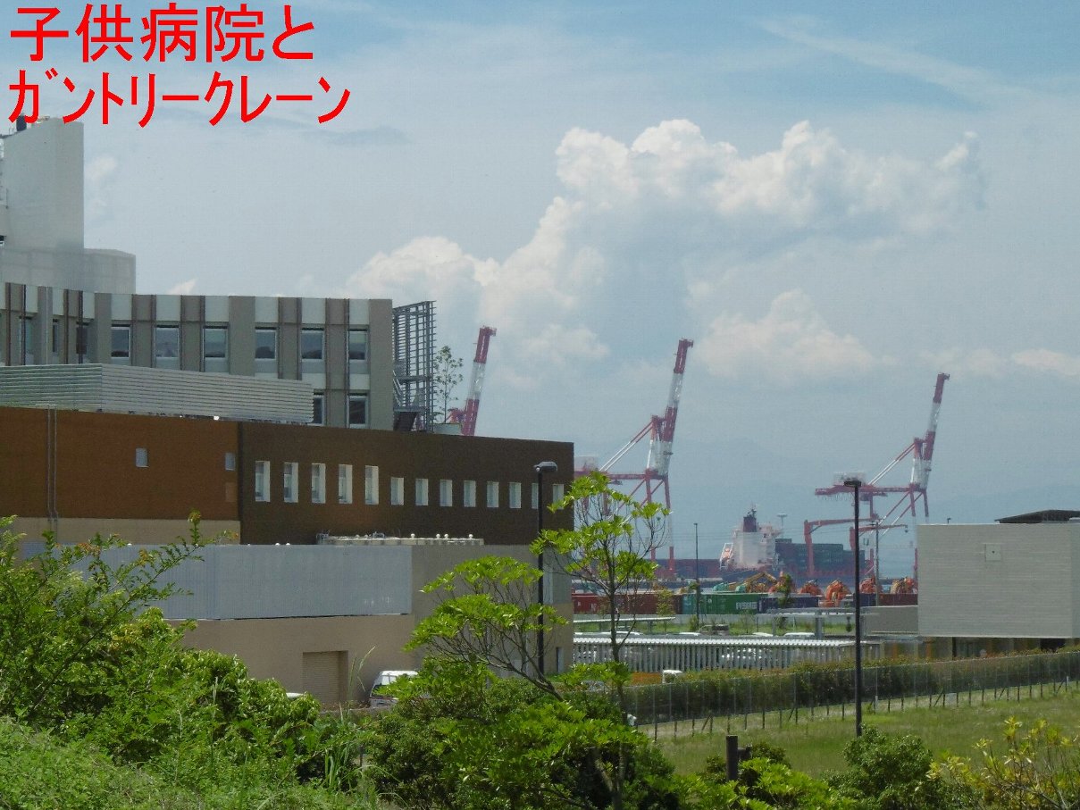 子ども病院とガントリークレーンの写真