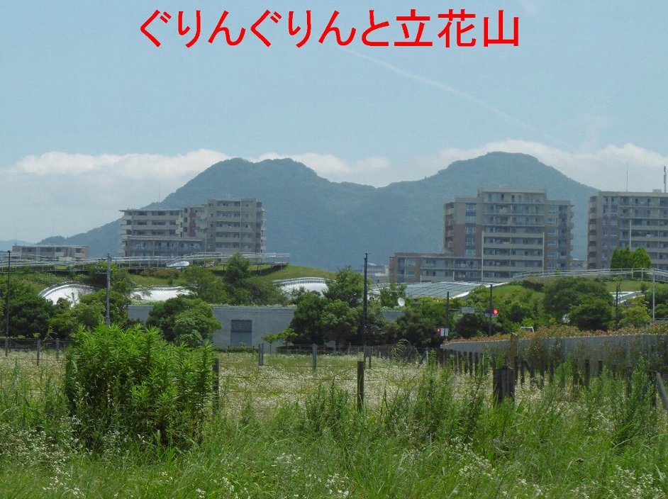 ぐりんぐりんと立花山の写真