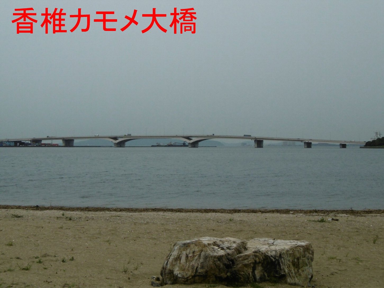 香椎カモメ大橋の写真