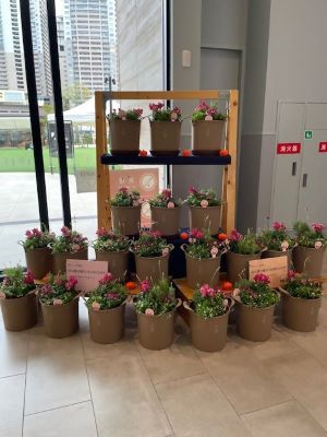 展示(ガーデンス千早 展示終了)