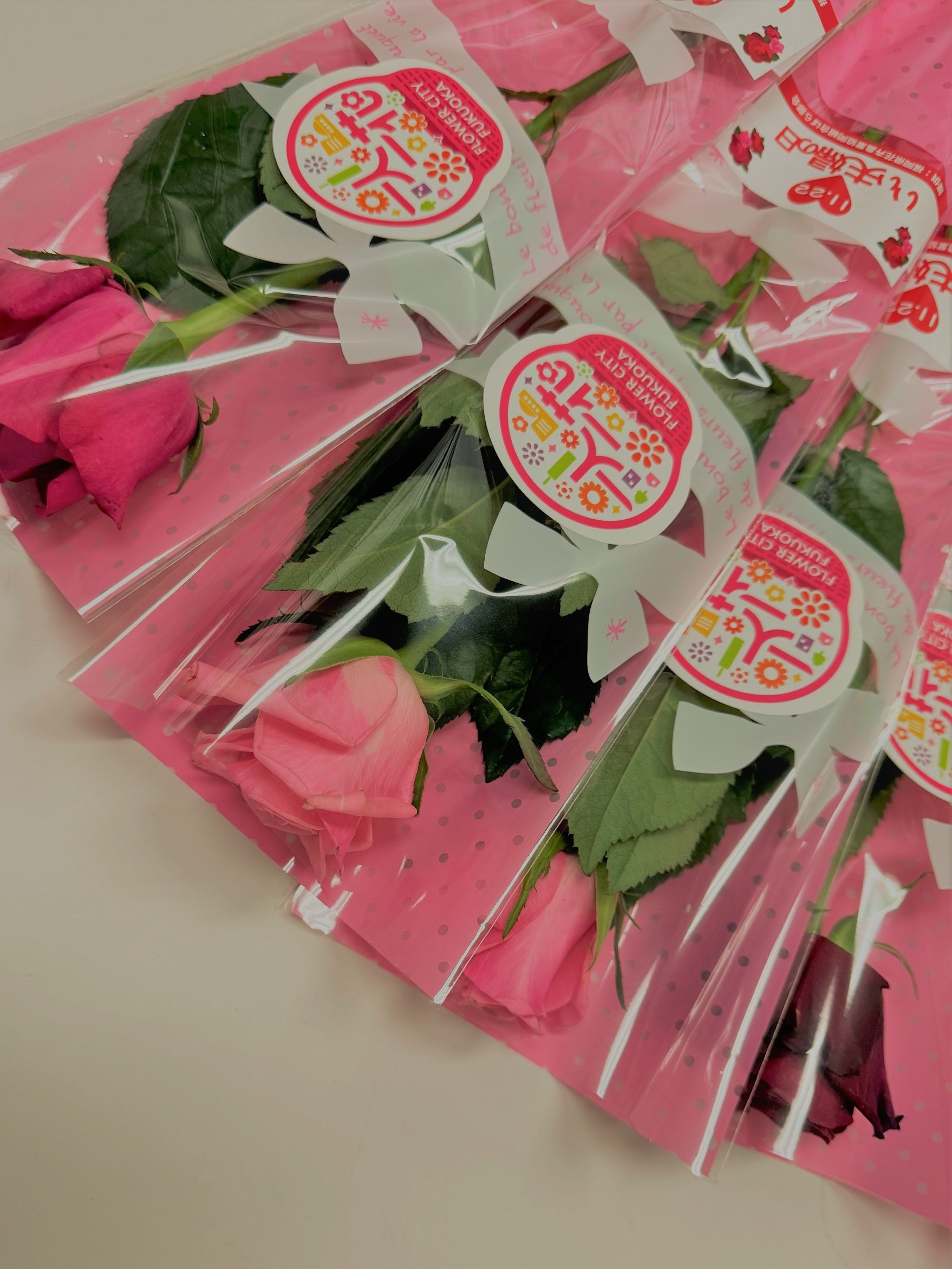 11月22日に入籍をされた方々に一輪のバラがプレセントされました。