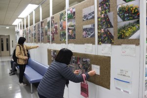 美術の作品展です。