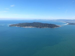 その他の分野です。