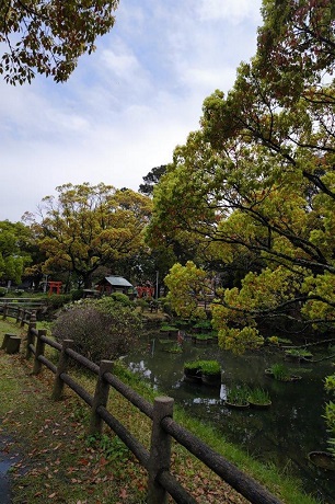 香椎宮の菖蒲池