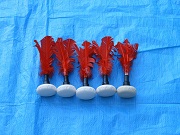 インディアカの写真