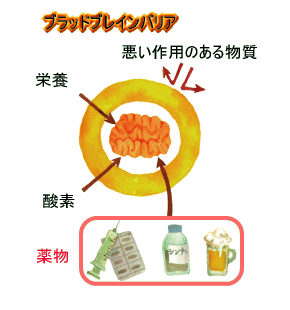 ブラッド・ブレイン・バリア(血液脳関門)の模式図