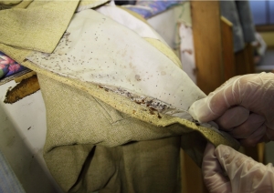 トコジラミが潜んでいる場所の画像