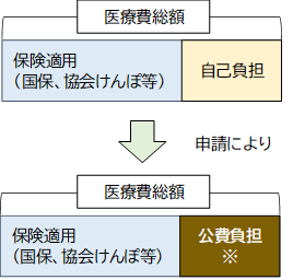 自己負担部分が申請により公費負担になるイメージ図