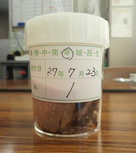 持ち込まれたおかずの写真１