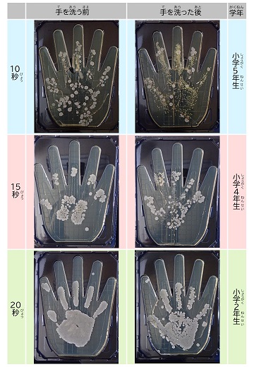 手洗い時間別の結果１