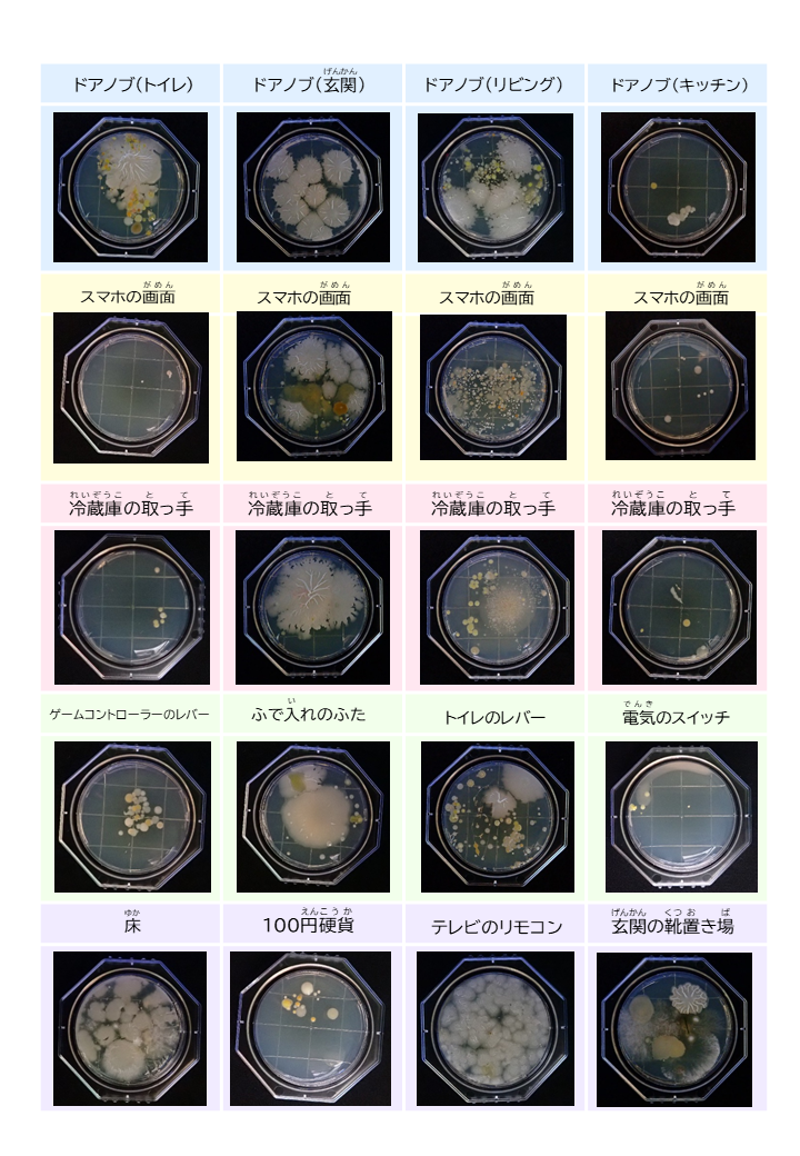丸形スタンプ結果