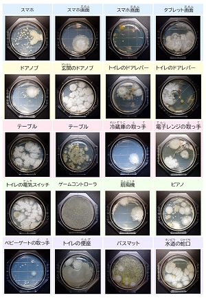 丸形スタンプ結果