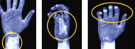 手洗い後の写真