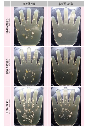 手洗い結果