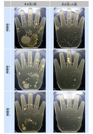 手洗い結果２