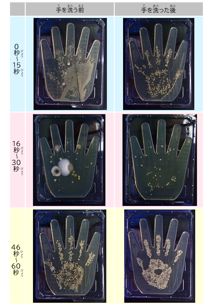 手洗い結果