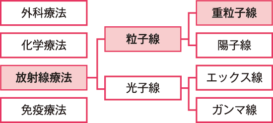 重粒子線がん治療の分類についての画像