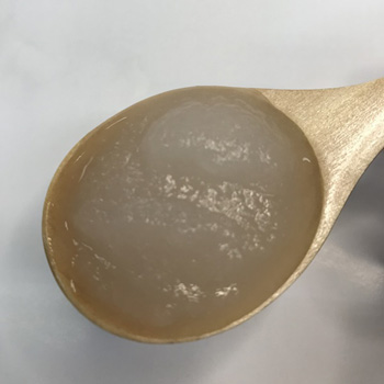 だいこんの写真