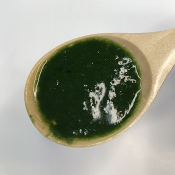 ほうれんそうの写真