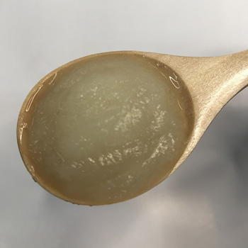 たまねぎの写真