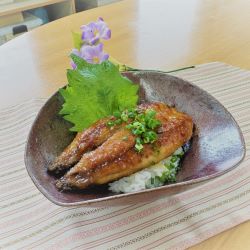 いわしの梅蒲焼き丼の写真