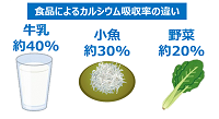 カルシウムを多く含む食品の写真