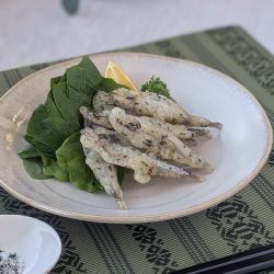 きびなごの新茶揚げの写真